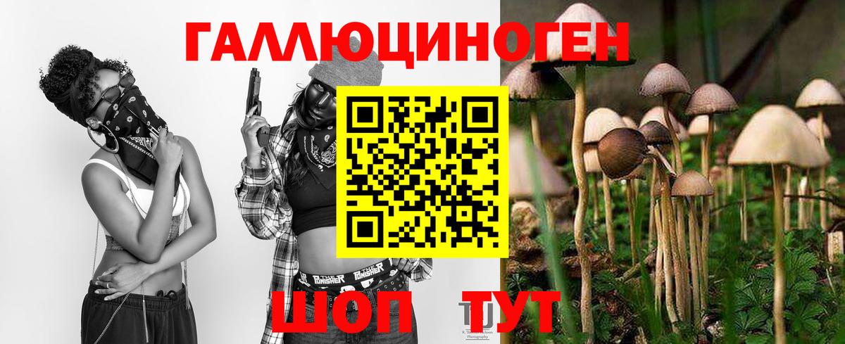 Псилоцибиновые грибы Magic Shrooms Дзержинск