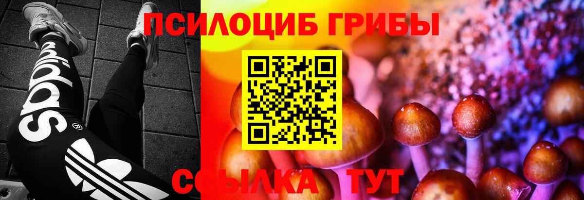 Галлюциногенные грибы Magic Shrooms  Вход с VPN  Дзержинск 